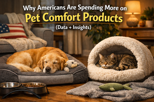 Why Americans Are Spending More on Pet Comfort Products (Data + Insights)