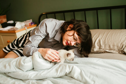 The Ultimate Guide to Pet Comfort: Beds, Blankets, and Accessories