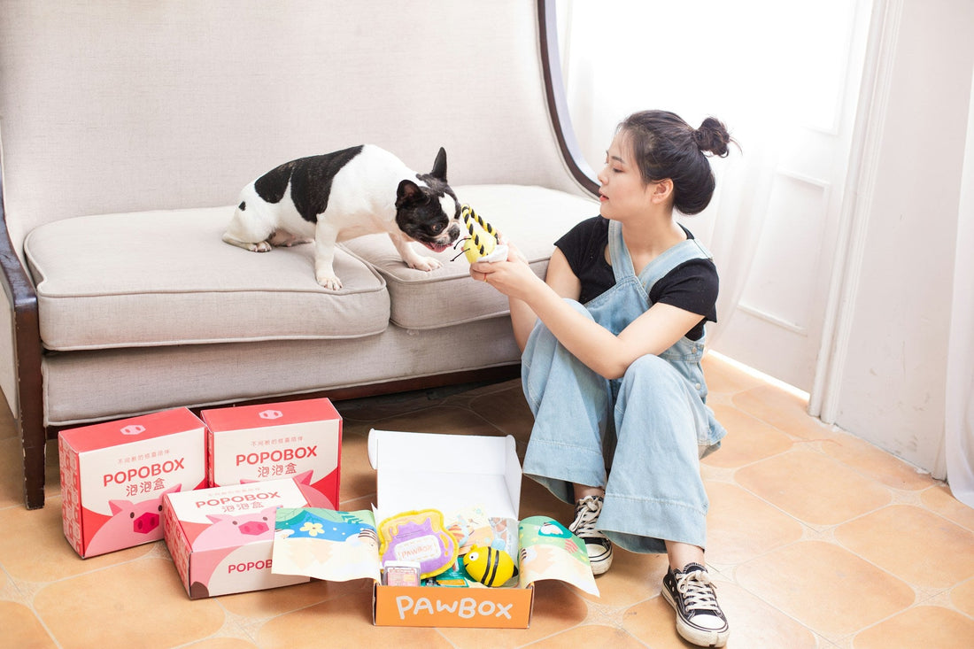 Top 10 Must-Have Pet Supplies for a Happy and Healthy Pet