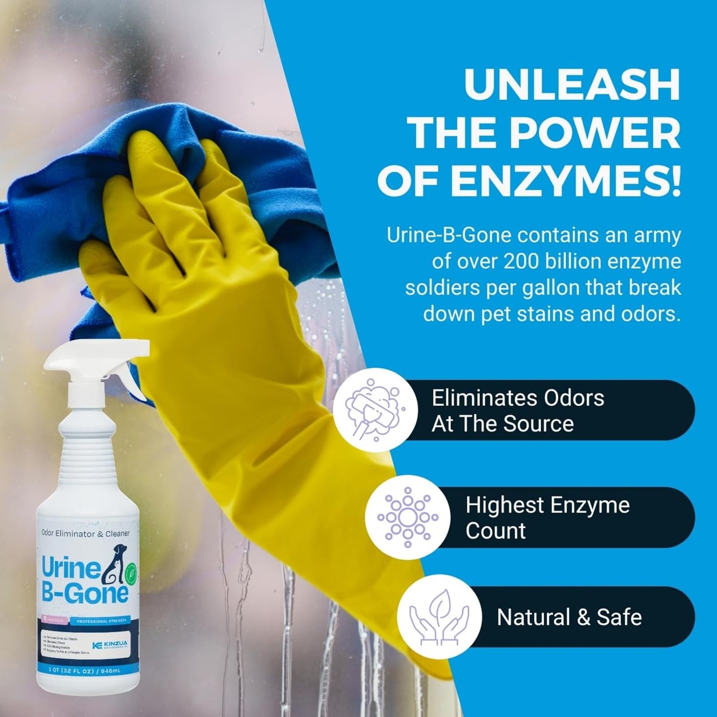 KINZUA ENVIRONMENTAL Urine B-Gone, Professional Enzyme Odor Eliminator & Pet Stain Remover, Human, Cat & Dog Urine Cleaner, Effective on Laundry, Carpets & More, Lavender Scent, 32oz