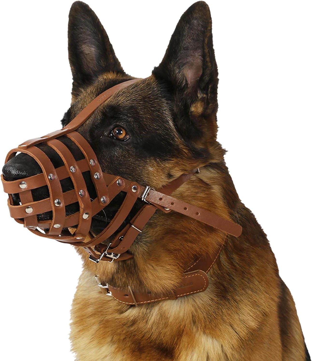 CollarDirect Dog Muzzle German Shepherd Dalmatian Doberman Setter Leather Basket Medium Large Breeds (Chestnut Brown, Large)