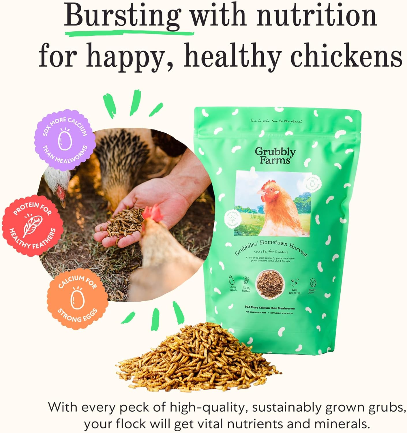 Grubblies - Black Soldier Fly Larvae for Chickens - Chicken Treats Grown in The US and Canada - for Strong Eggshells and Healthy Feathers - Grubblies Hometown Harvest 1LB