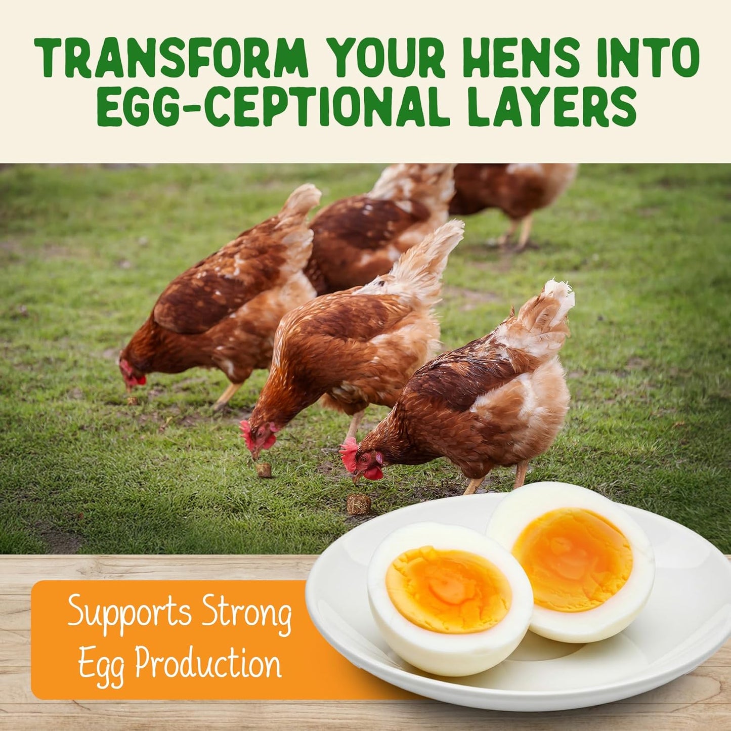 Doc Eddie’s Backyard Chicken Supplement - Plant-Based Treats for Egg Laying Hens - Poultry Feed Enrichment Made with Omega 3 Rich Algae - Essential for Immune Health, Feather Regrowth, Egg Production