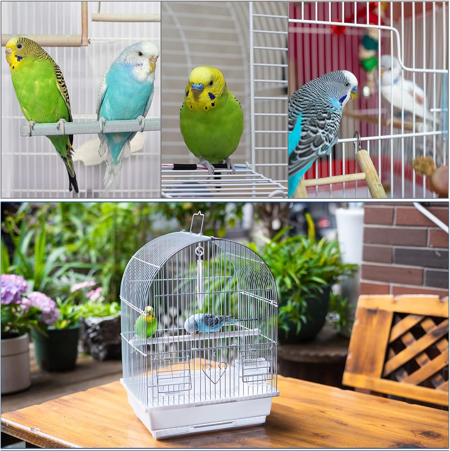 Small Bird Travel Cage - Lightweight Small Birds Starter Kit with Birdcages and Accessories Great for Parakeets Lovebirds Parrotlets Finches Canaries