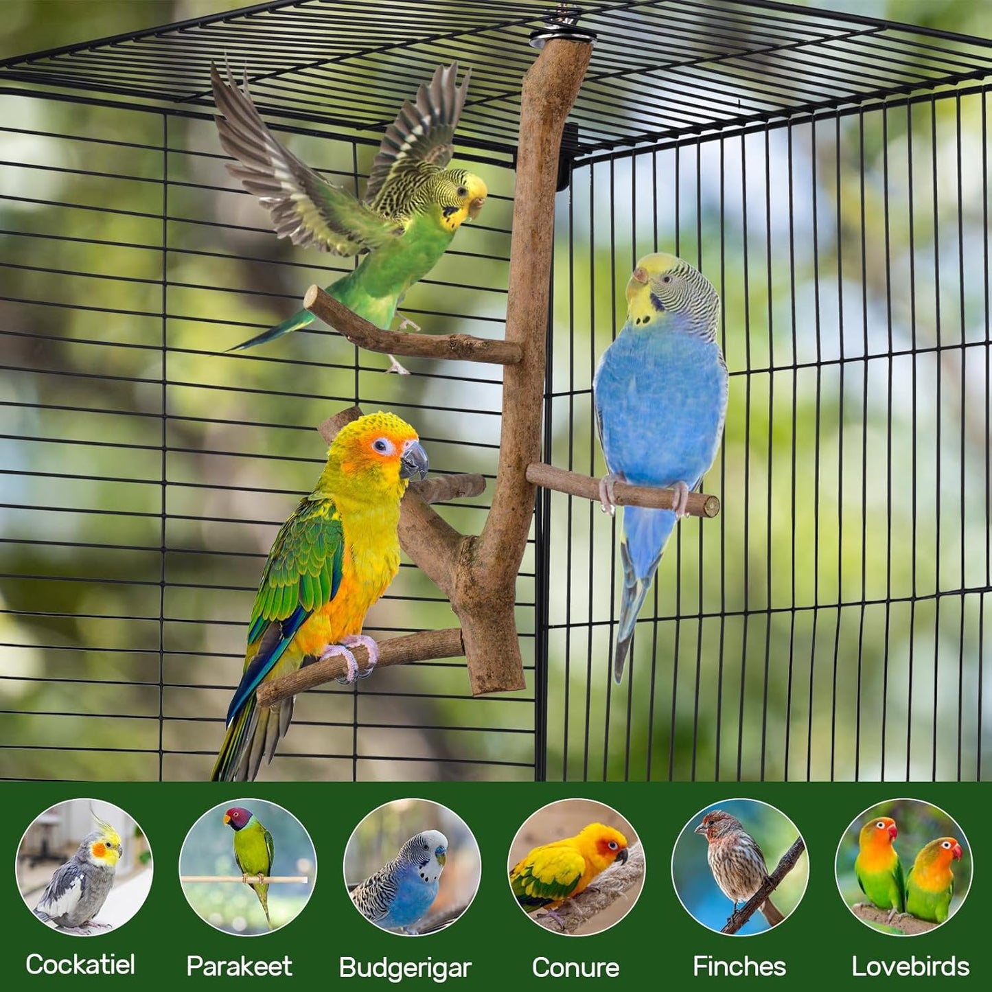 Bird Perch Stand, Natural Vitex Negundo Wood Parrot Perch Bird Cage Branch Perch, Accessories for Parakeets, Cockatiels, Conures, Macaws, Finches, LoveBirds (12" Length)