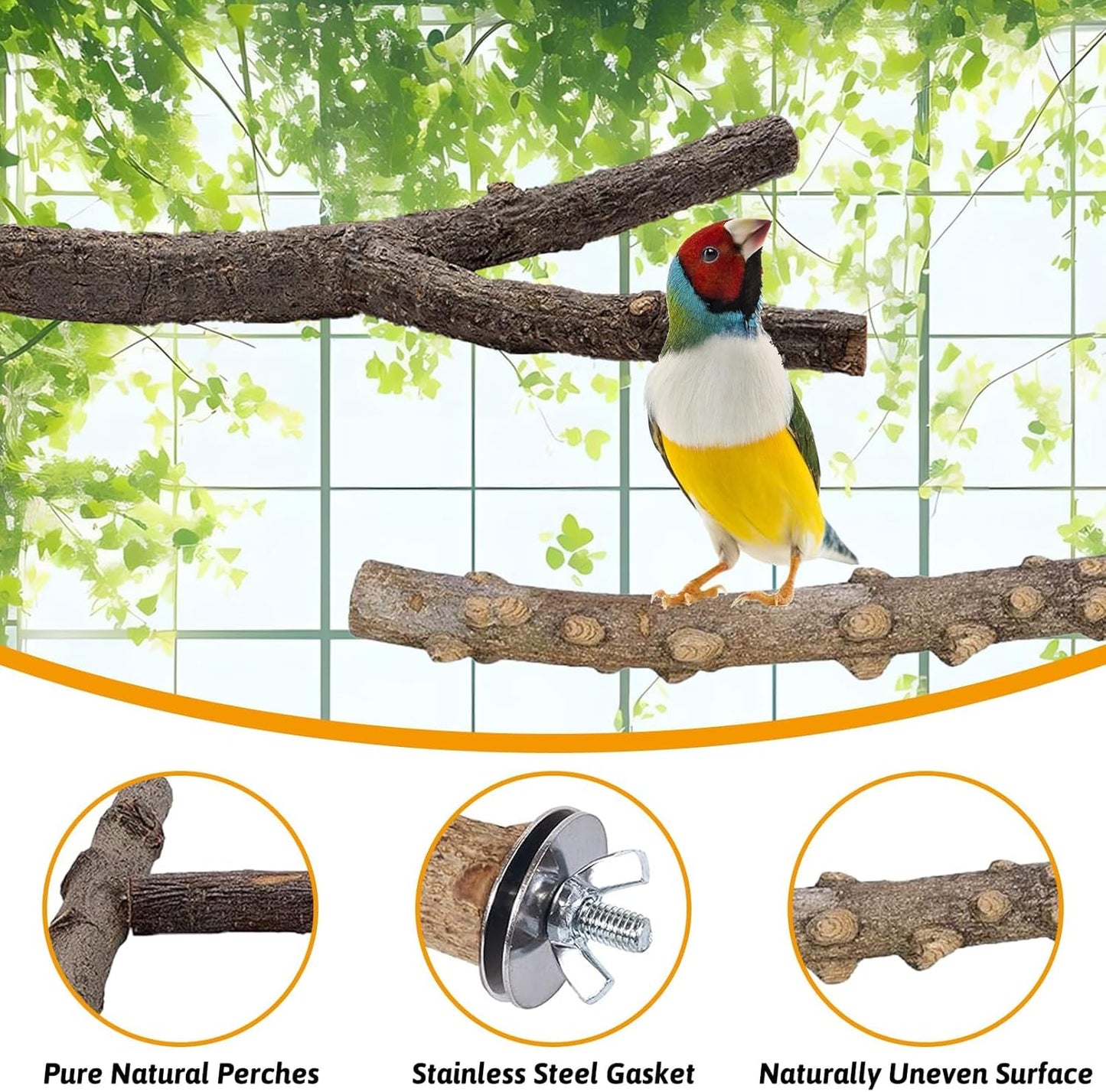 kathson 5pcs Natural Parrot Perch for Cage Wooden Bird Perches Grape Bird Stick Parakeet Climbing Standing Branches Toy Chewable Cage Accessories for Small Budgies Cockatiels Lovebirds Budgies